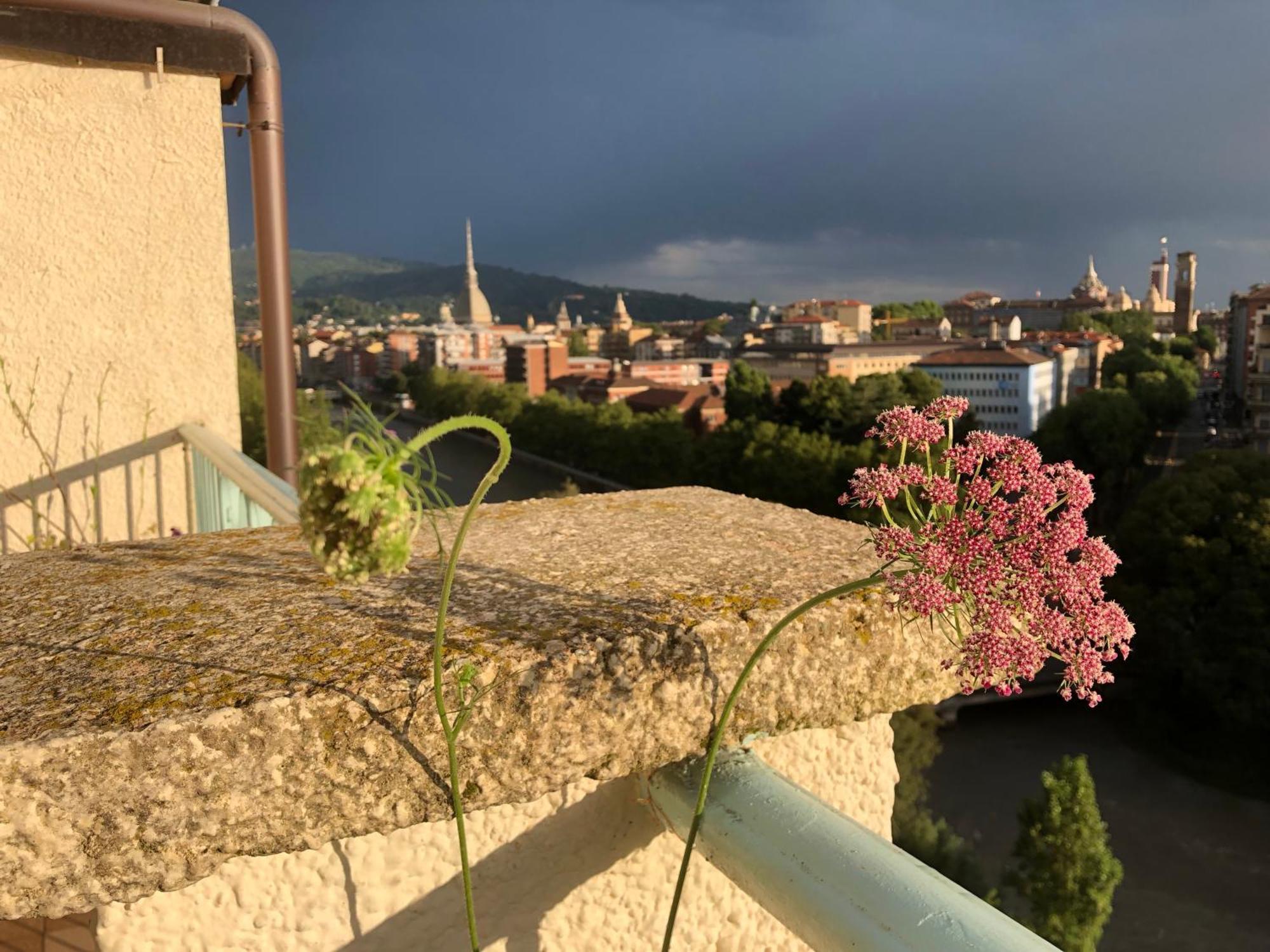 Apartamento Attico Ellen Terrazza Con Vista Turín Exterior foto